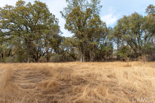 Detail Gallery Image 20 of 51 For 4343 Silver Lane Rd, Mariposa,  CA 95338 - 3 Beds | 2 Baths