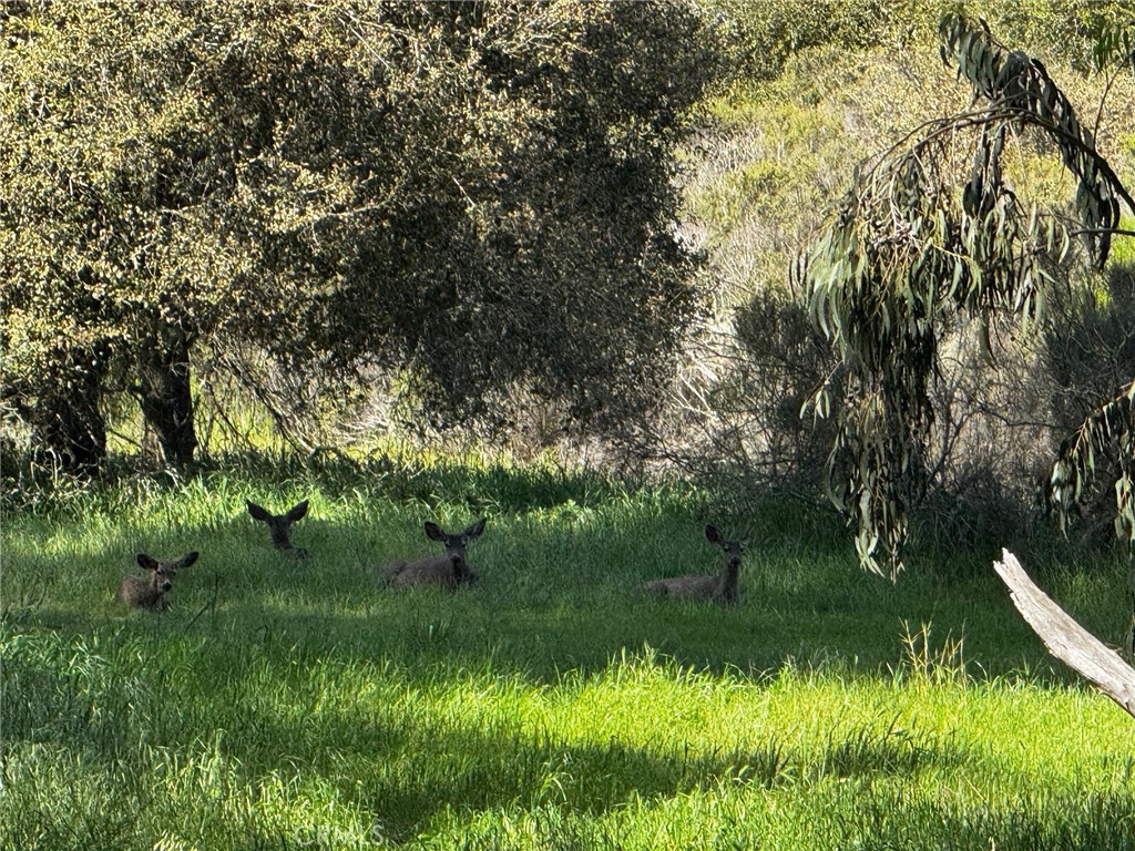 https://media.crmls.org/medias/c465c5eb-b9b4-4590-a0c3-b2338126f073.jpg?preset=X-Large