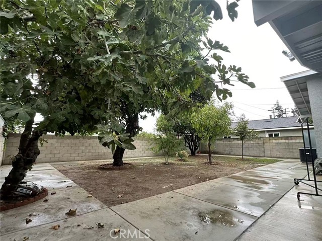 Front Image Thumbnail for CRWS25265862