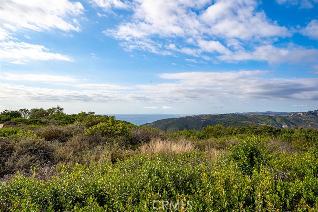 Walking and hiking trails