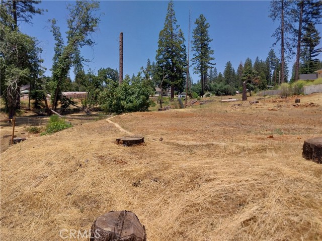 1667 Wagstaff Road, Paradise CA: https://media.crmls.org/medias/c4879fe9-0fe3-4e65-bcae-c88ea046e5fa.jpg