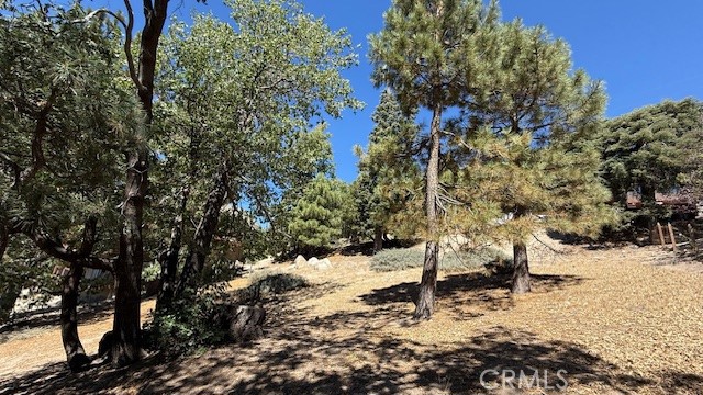 Detail Gallery Image 11 of 15 For 0 Piedras Grande, Green Valley Lake,  CA 92341 - – Beds | – Baths