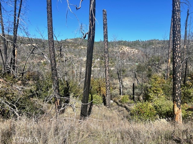 Detail Gallery Image 24 of 39 For 0 Craig Access, Feather Falls,  CA 95940 - – Beds | – Baths