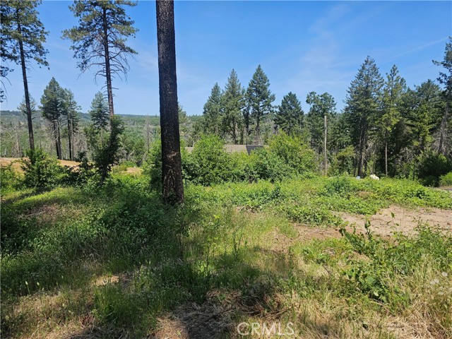 Detail Gallery Image 10 of 11 For 6649 Lincoln, Paradise,  CA 95969 - – Beds | – Baths