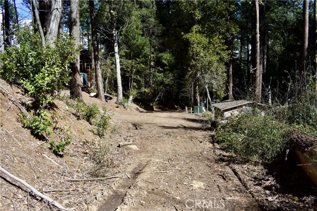 Detail Gallery Image 3 of 52 For 0 Toyon Trl, Berry Creek,  CA 95916 - – Beds | – Baths