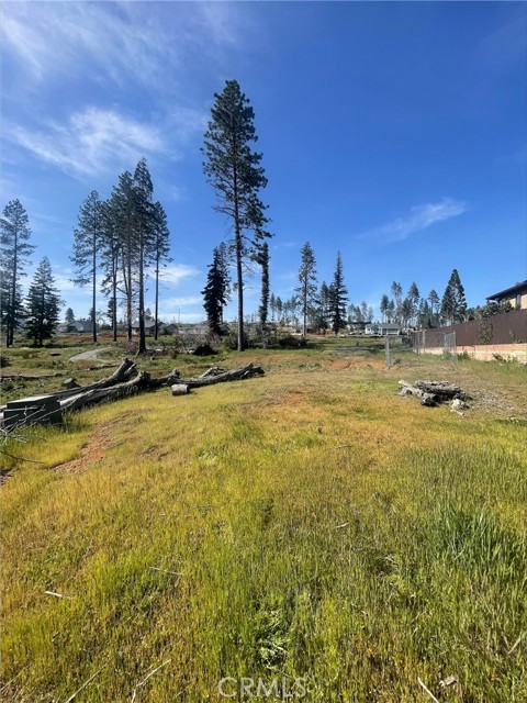 698 Brookhaven Drive, Paradise, CA, 95969 698 Brookhaven Drive, Paradise, CA, 95969
