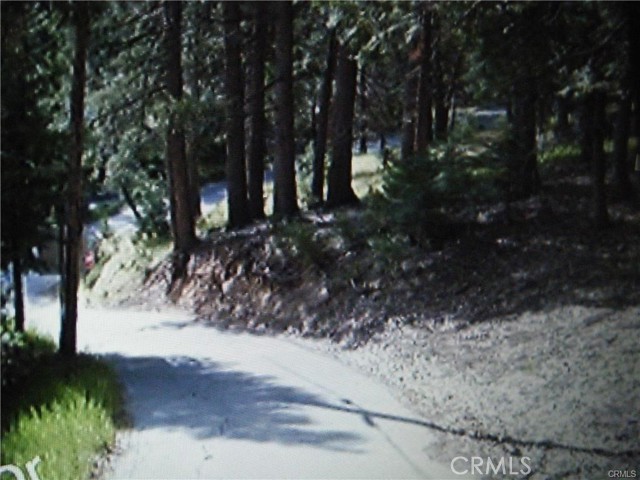 0 Ponderosa, Cedar Glen, CA, 92321 0 Ponderosa, Cedar Glen, CA, 92321