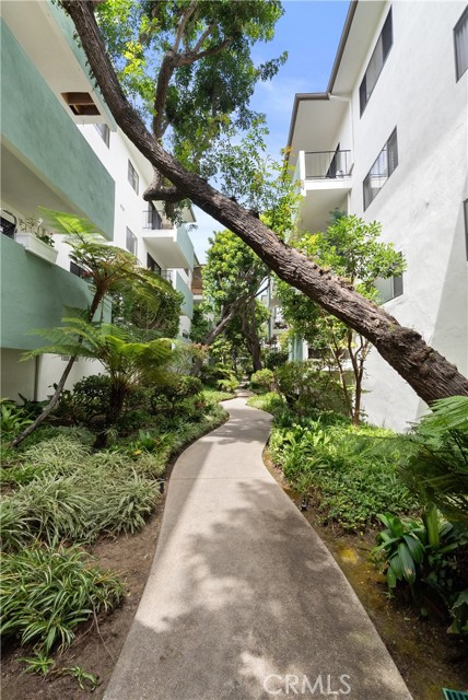 Beautiful pathway, this unit is located on the tranquil and lush interior location. .