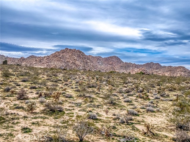 Detail Gallery Image 25 of 41 For 130 Rd Hollinger, Joshua Tree,  CA 92252 - – Beds | – Baths