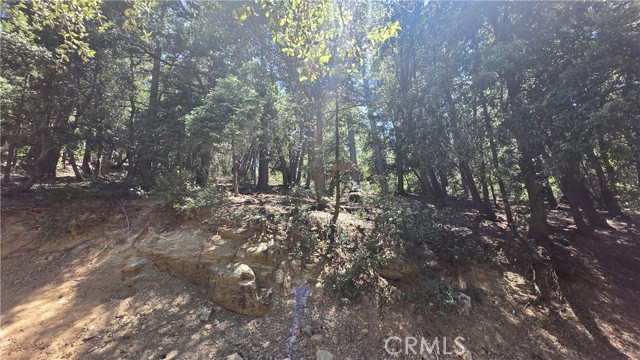 0 Mojave River Road, Cedarpines Park CA: https://media.crmls.org/medias/c4b174e8-01f6-4c50-8a54-29a47820b4ae.jpg