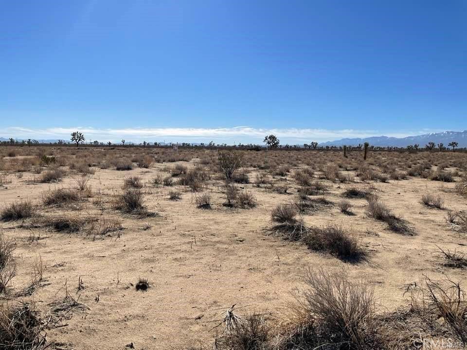 MLS #HD25000657 image #13