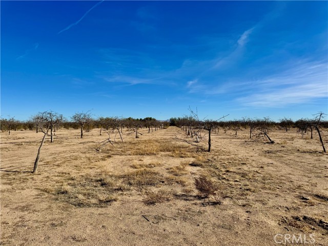 Detail Gallery Image 67 of 67 For 44823 Silver Valley, Newberry Springs,  CA 92365 - 2 Beds | 2 Baths