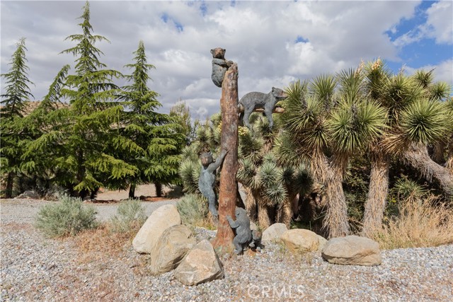 Detail Gallery Image 7 of 45 For 1870 Oak Springs Valley Rd, Wrightwood,  CA 92397 - 2 Beds | 2 Baths