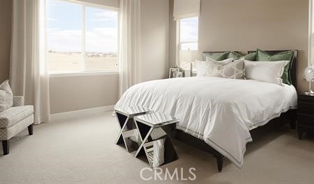 Model Home