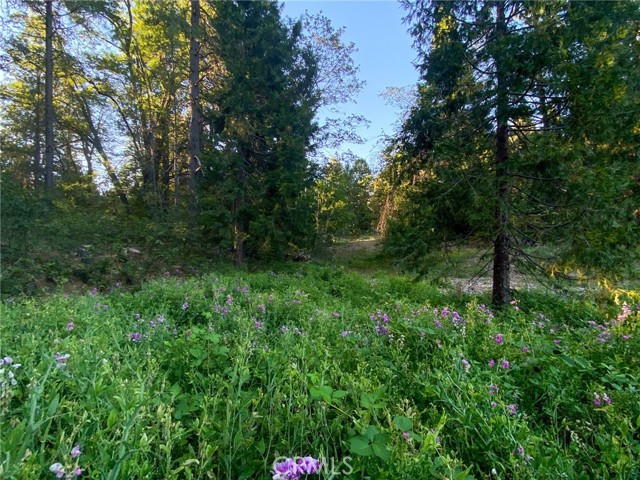 Detail Gallery Image 57 of 65 For 2737 S Old Stage Rd, Mount Shasta,  CA 96067 - 3 Beds | 2/1 Baths