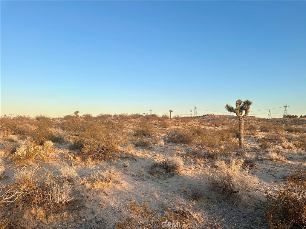 MLS #HD25168103 image #6