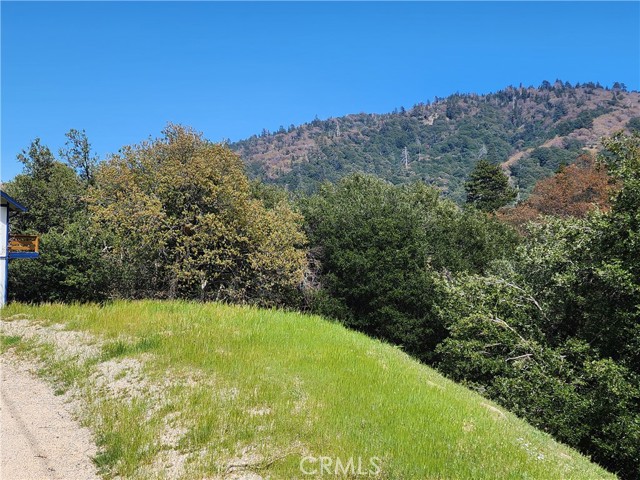 327 Davos Drive, Crestline CA: https://media.crmls.org/medias/c4cdd75f-ca10-4182-a4f5-64415d372409.jpg