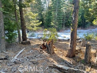 Detail Gallery Image 4 of 8 For 11041 Last Chance Mine Rd, Nevada City,  CA 95959 - – Beds | – Baths