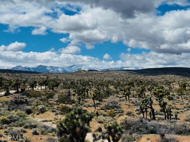 Detail Gallery Image 4 of 16 For 57864 Sunflower Dr, Yucca Valley,  CA 92284 - – Beds | – Baths