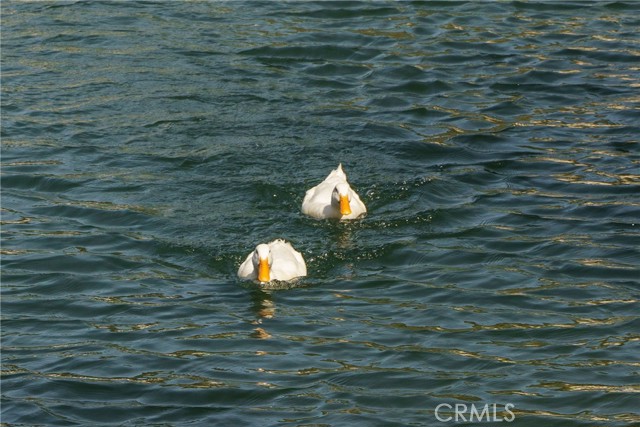 Detail Gallery Image 36 of 46 For 35109 Highway 79 #254,  Warner Springs,  CA 92086 - 2 Beds | 2 Baths