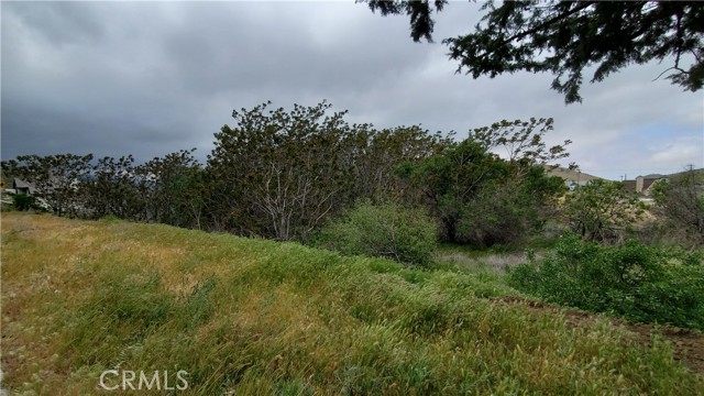 0 Rimford Drive Drive, Elizabeth Lake, California 93532, ,Land,For Sale,0 Rimford Drive Drive,CRSR23075504