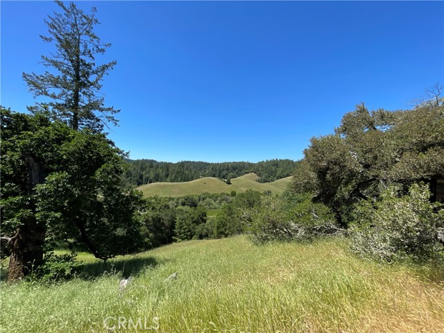 12760 Green Valley Road, Sebastopol CA: https://media.crmls.org/medias/c4dbdf52-8e4c-4d76-988a-3e3ccc838c91.jpg