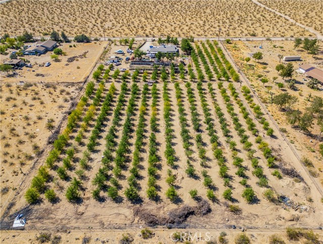 Detail Gallery Image 7 of 14 For 9425 Banta Rd, Lucerne Valley,  CA 92356 - 4 Beds | 2 Baths