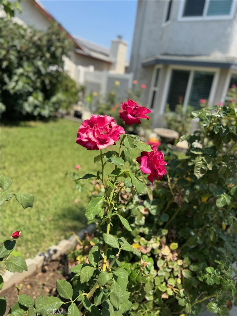 https://media.crmls.org/medias/c4de1b8d-af5b-40e0-8846-3522e08e301e.jpg?preset=X-Large