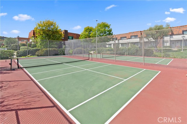 Pickleball Court