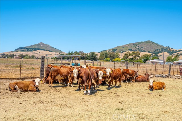 Detail Gallery Image 31 of 39 For 225 O'connor Way, San Luis Obispo,  CA 93405 - 3 Beds | 2/1 Baths