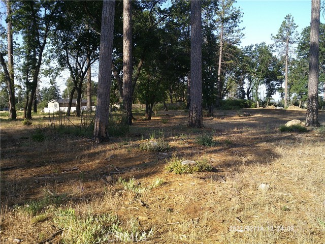 1832 Lillian, Paradise, CA, 95969 1832 Lillian, Paradise, CA, 95969