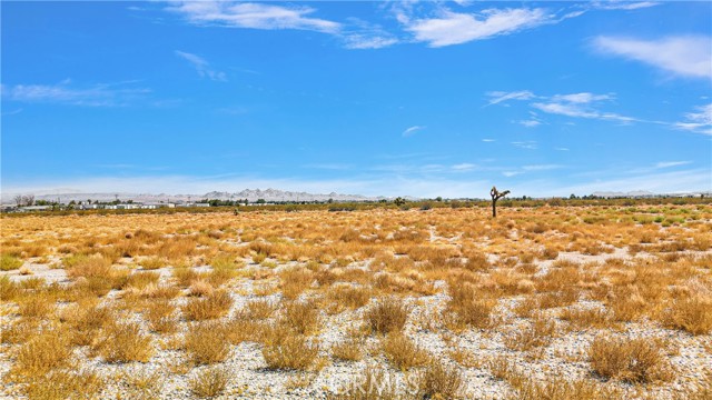 Detail Gallery Image 22 of 25 For 33633 Old Woman Spring Rd, Lucerne Valley,  CA 92356 - – Beds | – Baths