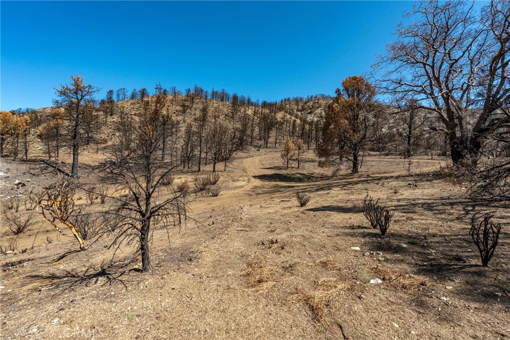 MLS #HD25089115 img 15