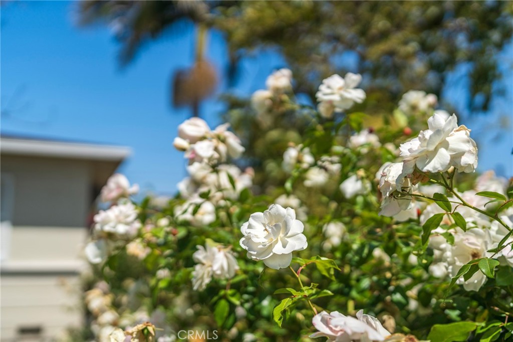 https://media.crmls.org/medias/c4f932bc-c38d-4f6c-918b-c3d430223dfd.jpg?preset=X-Large