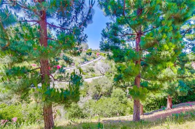Detail Gallery Image 53 of 63 For 4329 via Frascati, Rancho Palos Verdes,  CA 90275 - 3 Beds | 3 Baths