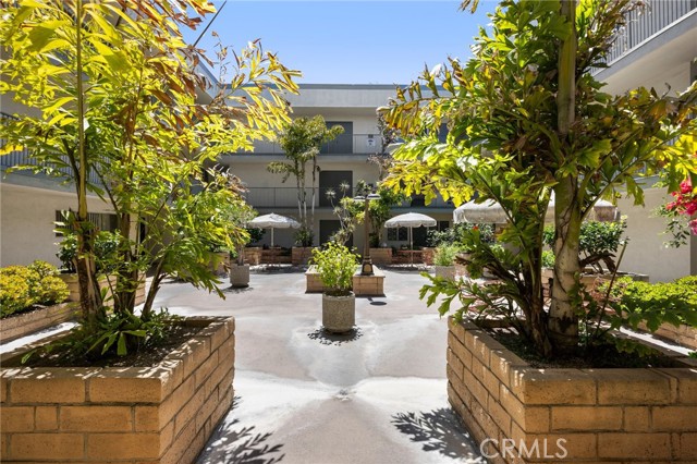 1187 E 3rd Street, Long Beach CA: https://media.crmls.org/medias/c50e975d-07f2-4b71-997c-21a3feed36c1.jpg