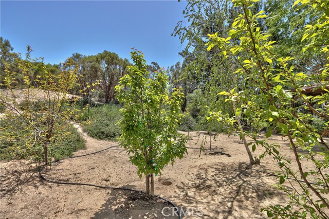 Detail Gallery Image 41 of 74 For 48208 Tanglewood Ct, Aguanga,  CA 92536 - 4 Beds | 2 Baths