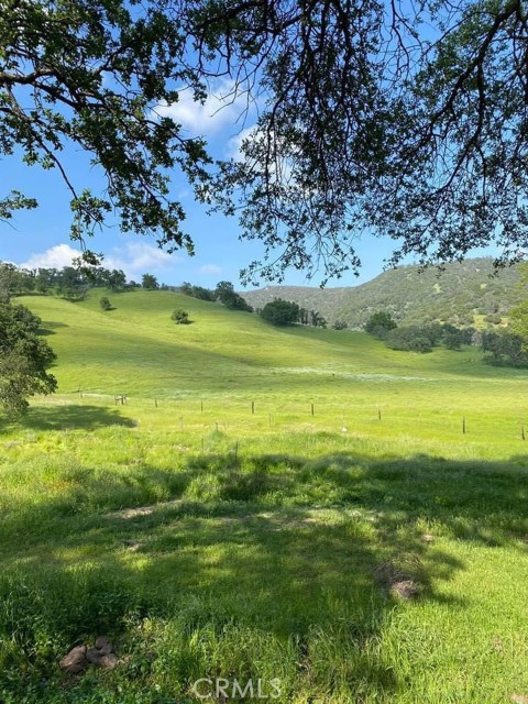 29503 Spence Lane, Tollhouse CA: https://media.crmls.org/medias/c50fa901-bfcc-4394-8d08-43718a4918b6.jpg