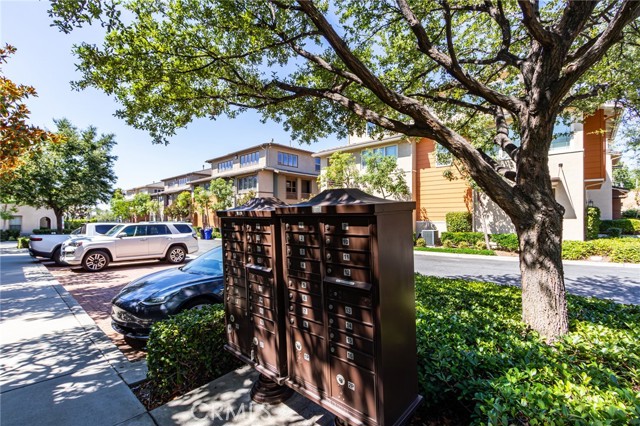 12336 Hollyhock Dr, Rancho Cucamonga CA: https://media.crmls.org/medias/c5112d86-de13-423a-9bc7-2ab1659b80da.jpg