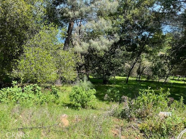 Detail Gallery Image 4 of 9 For 8444 Soda Bay Rd, Kelseyville,  CA 95451 - – Beds | – Baths