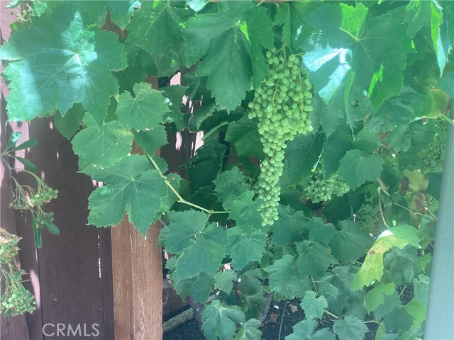 2757 Traditions, Paso Robles CA: https://media.crmls.org/medias/c515aec0-1a94-4541-9820-b6890c24489b.jpg
