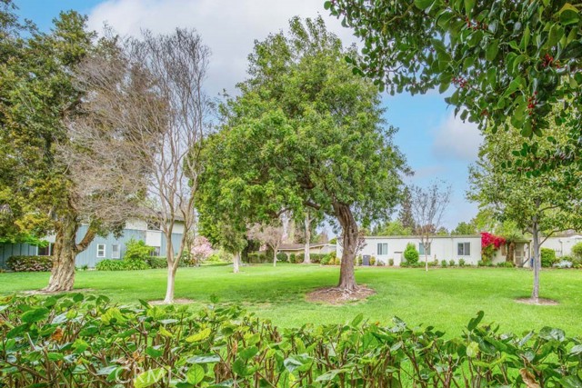 224 Avenida Majorca, Laguna Woods CA: https://media.crmls.org/medias/c520bcdc-adfc-4c6c-85eb-7f5bd039c1a0.jpg