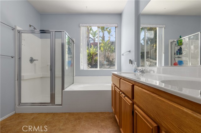 Master bath with nice view of backyard.