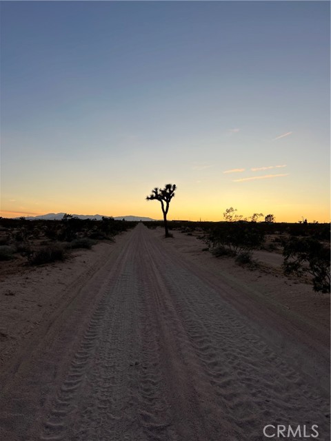 62816 Shifting Sands, Joshua Tree, CA, 92252 62816 Shifting Sands, Joshua Tree, CA, 92252