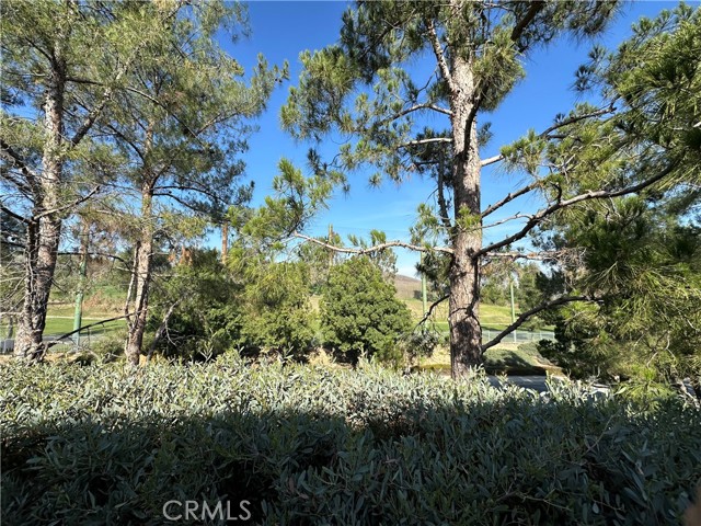 Detail Gallery Image 3 of 19 For 4868 Petersen, Chino Hills,  CA 91709 - 5 Beds | 2/1 Baths