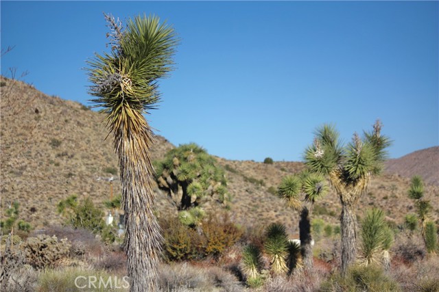 Detail Gallery Image 17 of 20 For 8435 Bannock Trl, Yucca Valley,  CA 92284 - – Beds | – Baths