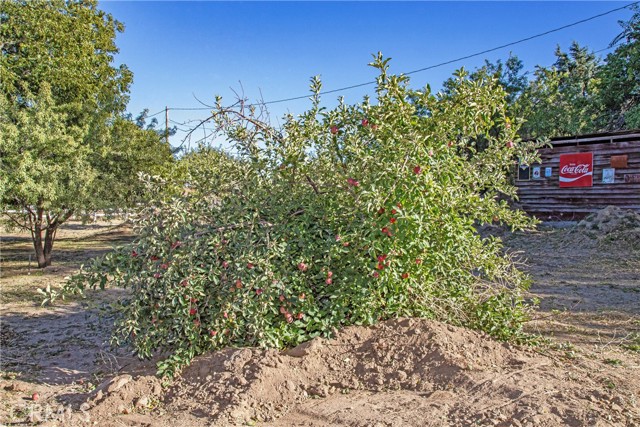 40065 90th Street, Leona Valley, California 93551, 5 Bedrooms Bedrooms, ,5 BathroomsBathrooms,Single Family Residence,For Sale,90th,SR24068165