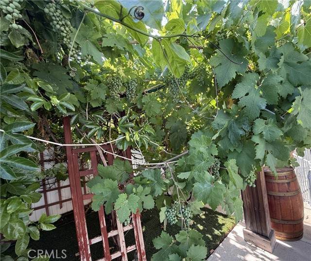 22158 Elkwood Street, Canoga Park CA: https://media.crmls.org/medias/c5363a23-d5c7-4e31-848a-d84811fd4cd6.jpg