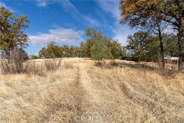 Detail Gallery Image 10 of 29 For 17333 Wagon Wheel Road, Corning,  CA 96021 - – Beds | – Baths