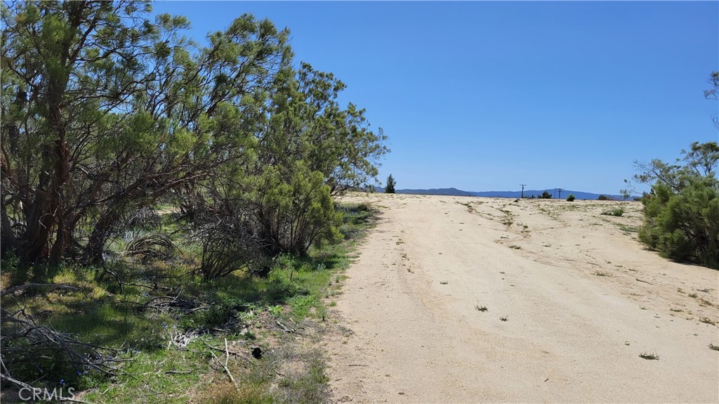 53409 Pony Trail